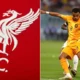 Liverpool begins talks for €50m star over potential transfer after the World Cup 2 Sportelo