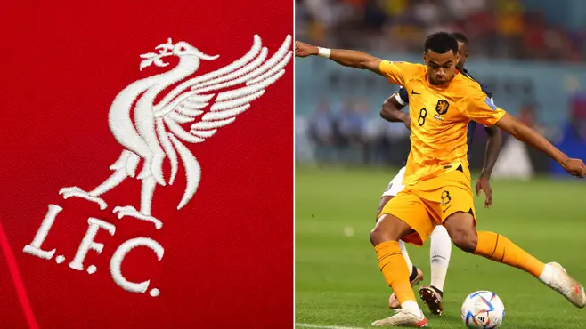 Liverpool begins talks for €50m star over potential transfer after the World Cup 1 Sportelo