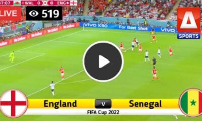 Live stream: Watch: England vs Senegal Live stream | FREE HD | Qatar 2022 World Cup 5 Sportelo