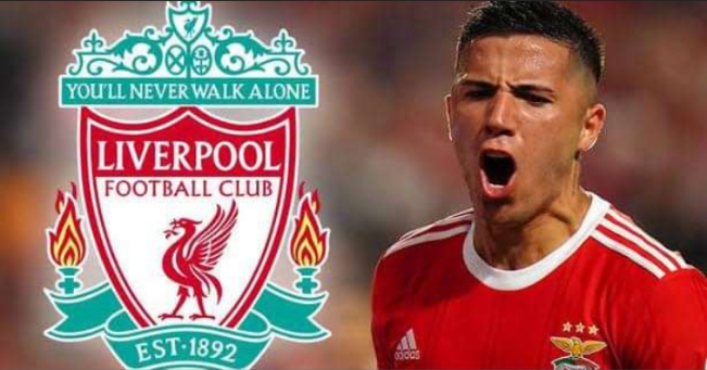 Liverpool and Man United receive Enzo Fernandez boost as Benfica boss makes transfer admission 1 Sportelo
