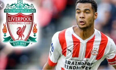 How Liverpool beat Man United to reach £45m transfer agreement for Cody Gapko as PSV confirms deal 11 Sportelo