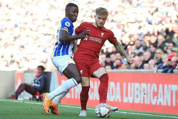 Brighton midfielder Moises Caicedo has impressed following his introduction to the Premier League and has been linked with Liverpool