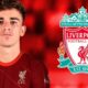Liverpool receive massive transfer boost as they could sign £90m midfield maestro for free this summer 32 Sportelo