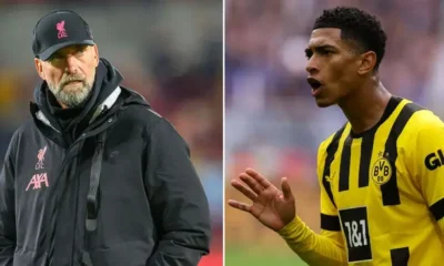 Reds now favorite '-Pundit drops major Bellingham update, it's great news for Liverpool 8 Sportelo