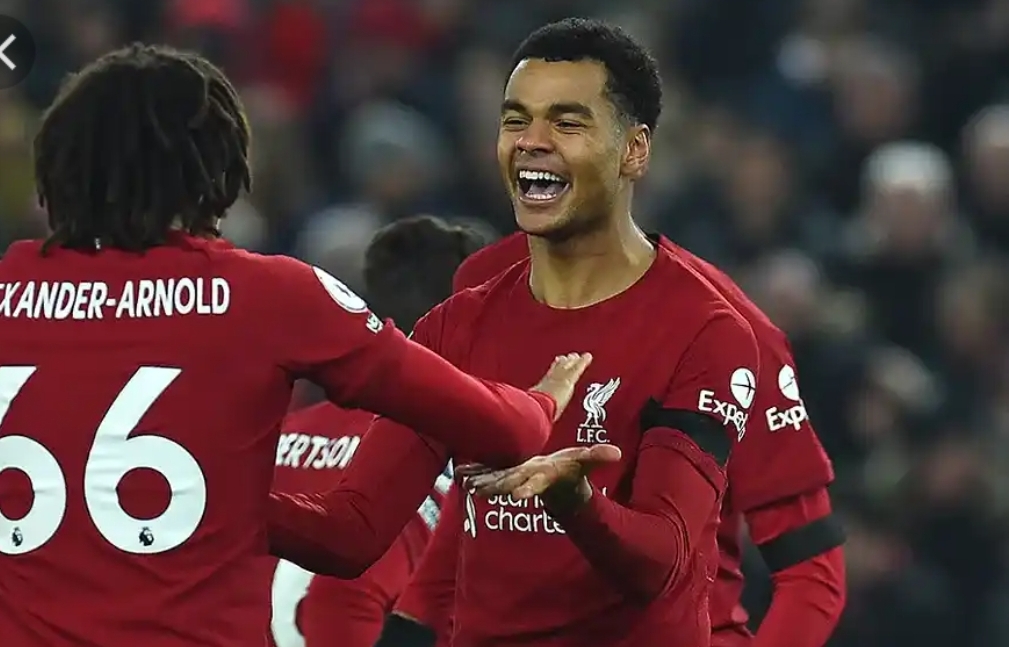 Cody Gakpo has already proven Jurgen Klopp wrong after Liverpool transfer 1 Screenshot 20230310 071547 Cody Gakpo has already proven Jurgen Klopp wrong after Liverpool transfer 1 Sportelo