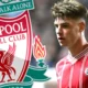 Liverpool set to sign star, monitoring and seen as cheaper Jude Bellingham alternative 22 Sportelo