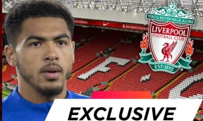 Liverpool scouts tell Reds to sign Chelsea defender as replacement for Joel Matip 10 Sportelo