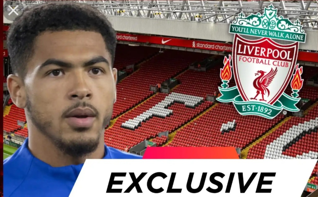 Liverpool scouts tell Reds to sign Chelsea defender as replacement for Joel Matip 3 Sportelo