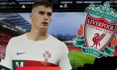 Liverpool scouting defender betrer than Virgil Van Dijk ahead of the transfer window 1 Sportelo